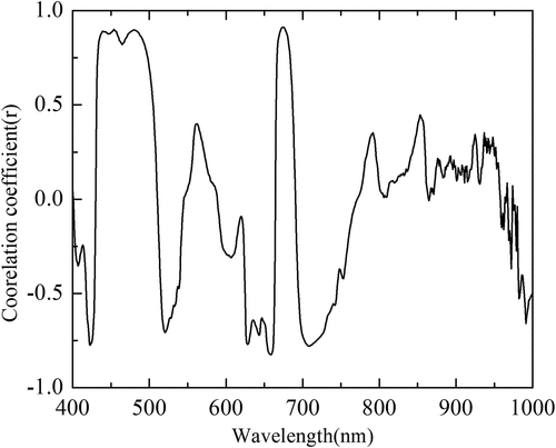 Figure 3. Correlation coefficients between Cu content in leaves of different development degrees and first difference reflectance of the mean spectrum