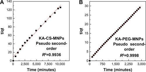 Figure 8 Fitting of data for KA release from (A) KA-CS-MNPs and (B) KA-PEG-MNPs nanocomposites for pseudo second-order kinetic model at pH 7.4.Abbreviations: CS-MNPs, chitosan-iron oxide nanoparticles; KA, kojic acid; PEG-MNPs, polyethylene glycol-iron oxide nanoparticles; KA-CS-MNPs, kojic acid-chitosan-iron oxide nanoparticles; KA-PEG-MNPs, kojic acid-polyethylene glycol-iron oxide nanoparticles.