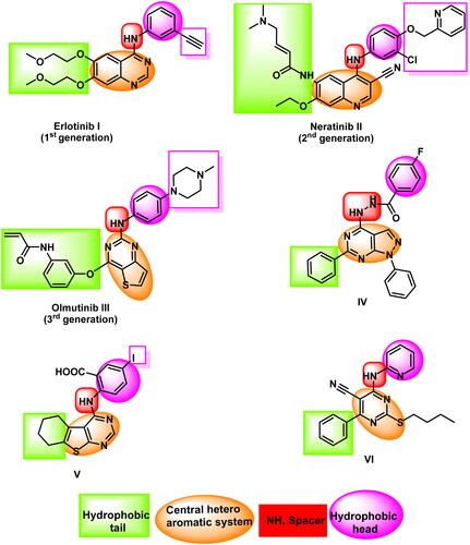 Figure 1. FDA-approved and reported EGFR inhibitors with their essential pharmacophoric features.