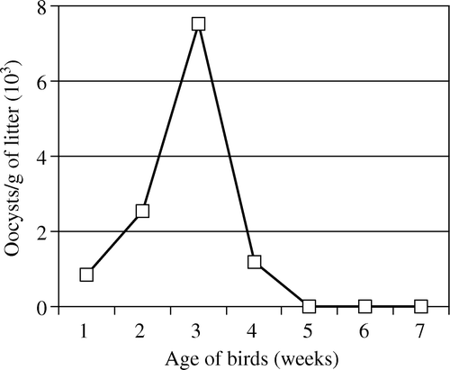 Figure 1.  Number of oocysts detected in the litter from a floor-pen containing chickens that had been infected 18 h post-hatch with 100 oocysts of E. maxima (Experiment 1).