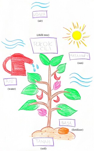 Figure 3. An example of an 11-year-old pupil’s drawing [S5/6] with a level 2 conceptual understanding of photosynthesis.