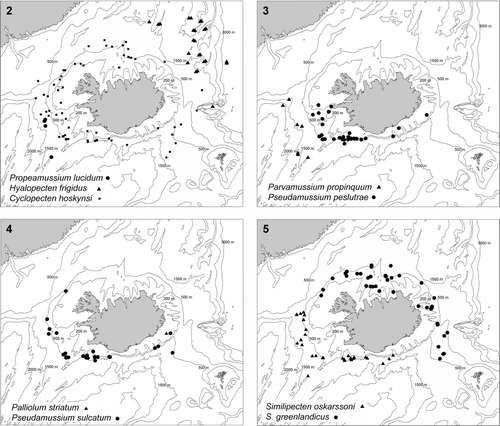 Maps 2–5. Distribution of pectinoids collected by BIOICE. (2) Propeamussium lucidum, dots; Hyalopecten frigidus, triangles; Cyclopecten hoskynsi, squares. (3) Parvamussium propinquum, triangles; Pseudamussium peslutrae, dots. (4) Palliolum striatum, triangles; Pseudamussium sulcatum, dots. (5) Similipecten greenlandicus, dots; S. oskarssoni, triangles.