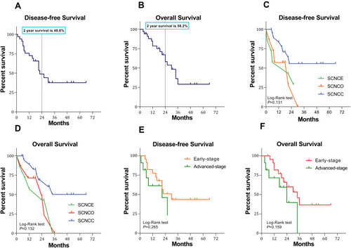 Figure 2 Survival curves of all 34 patients with small-cell neuroendocrine carcinoma of the gynecologic tract (SCNCGT). (A) Kaplan–Meier curve showing the disease-free survival (DFS) rate in patients with SCNCGT. (B) Kaplan–Meier curve showing the overall survival (OS) rate in patients with SCNCGT (C) Kaplan–Meier curve showing the DFS rate in patients with small-cell neuroendocrine carcinoma of the endometrium (SCNCE), ovary (SCNCO), and cervix (SCNCC), respectively. Log rank test resulted in P = 0.131. (D) Kaplan–Meier curve showing the OS rate in patients with small-cell neuroendocrine carcinoma of the endometrium (SCNCE), ovary (SCNCO), and cervix (SCNCC), respectively. Log rank test resulted in P = 0.132. (E) Kaplan–Meier curve showing the DFS rate in patients with early-stage and advanced-stage disease, respectively. Log rank test resulted in P = 0.265. (F) Kaplan–Meier curve showing the OS rate in patients with early-stage and advanced-stage groups, respectively. Log rank test resulted in P = 0.159.