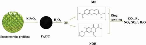 Figure 3. Schematic diagram of Fe3C/C composite for methylene blue removal and NOR degradation [Citation134] (Reproduced by permission from [Citation134], copyright [2019, Elsevier])