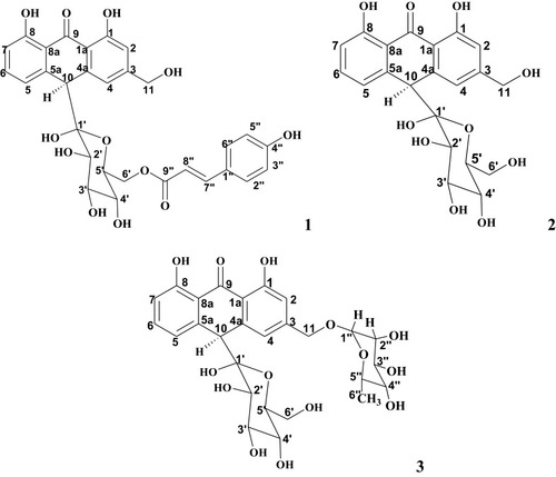 Figure 1 Structures of Microdontin A/B (1), Aloin A/B (2) and Aloinoside A/B (3).