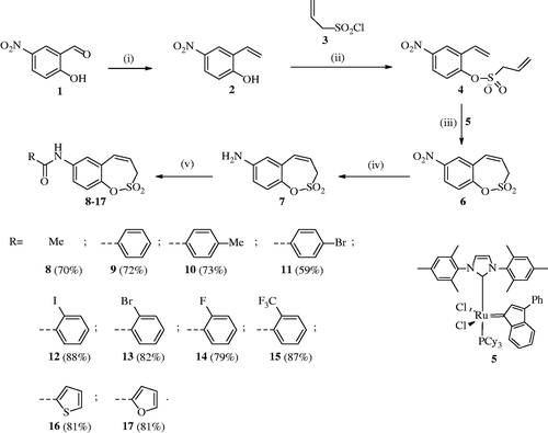 Scheme 1. Reagents and conditions: (i) MePPh3Br, tBuOK, THF, RT, 18 h, 65%; (ii) Net3, CH2Cl2, 0 °C to RT, 4 h, 57%; (iii) 5, toluene, 70 °C, 4 h, 96%; (iv) Fe, AcOH, EtOH, H2O, 75 °C, 1 h, 98%; (v) RCOCl, Net3, CH2Cl2, 0 °C to RT, 4 h.