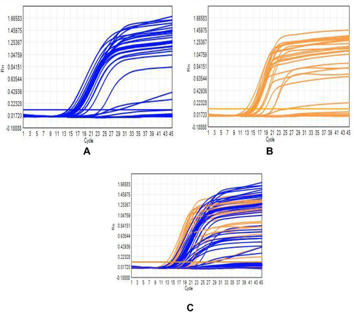 Figure 5 Real-time PCR amplification results for blaNDM-1 (A), blaOXA-48 (B), and coexistence of blaOXA48 and blaNDM-1 (C) obtained after 45 cycles on the SLAN-96P Real time PCR system. Ct value ≤40 is considered positive for blaNDM-1 and blaOXA-48 genes.