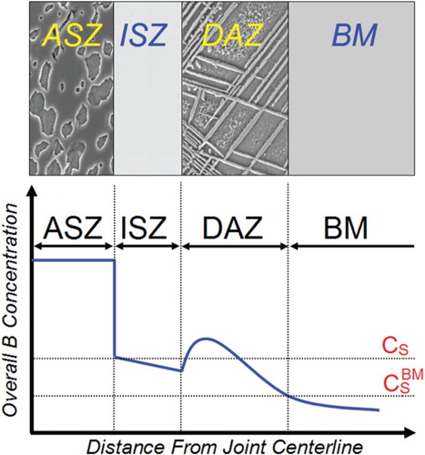 Figure 1. Schematic microstructure of a TLP-bonded nickel-based superalloy using a B-bearing interlayer after partial isothermal solidification along with overall boron concentration gradient across the bond region: ASZ, ISZ, DAZ and BM indicate ASZ, ISZ and diffusion-affected zone and base metal, respectively. CS is B solubility at solid/liquid interface and is B solubility in the base metal.