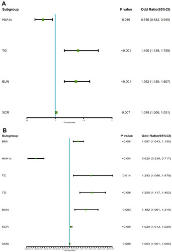 Figure 4 Forest plot of the OR of the selected feature. Use of forest plot for outcome of logistic regression analysis. In the plane rectangular coordinate system, the forest plot takes a vertical invalid line (scale of abscissa is 1) as the center, describes the effect quantity and confidence interval of each study by using multiple line segments parallel to the horizontal axis, and describes the effect quantity and confidence interval of multiple studies by using a rectangle. (A) T2DM patients with CHD: The horizontal lines corresponding to 95% CI of HbA1c, TG, BUN and SCR do not intersect the centerline. 95% CI of HbA1c falls to the left of the centerline, indicating HbA1c was the protective factor of HUA in T2DM patients with CHD. Other factors were the risk factors of HUA. (B) T2DM patients with DN: The horizontal lines corresponding to 95% CI of BMI, HbA1c, TC, TG, BUN, SCR and UMA do not intersect the centerline. 95% CI of HbA1c falls to the left of the centerline, indicating HbA1c was the protective factor of HUA in T2DM patients with DN. Other factors were the risk factors of HUA.