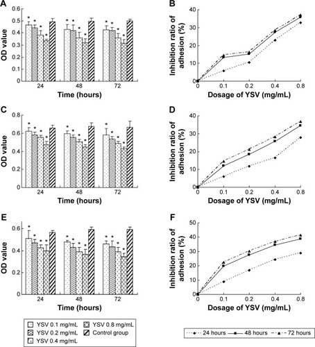 Figure 1 Inhibitory effects of YSV on adhesion to Matrigel of human lung cancer cells in vitro.