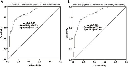 Figure 2 The ROC curve was used to analyze the diagnostic value of SNHG17 and miR-375-3p in CC. (A) The AUC is 0.863, sensitivity is 84.7%, specificity is 78.2% for SNHG17; (B) The AUC is 0.869, sensitivity is 75.8%, specificity is 86.6% for miR-375-3p.