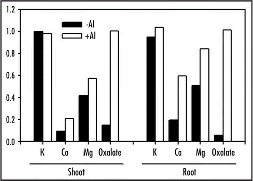 Figure 2 Ratio of water-soluble K, Ca, Mg and oxalate to total concentration in Melastoma malabathricum grown in a nutrient solution with or without 0.5 mM AlCl3 for 30 days. Water soluble K, Ca, Mg and oxalate concentrations were determined by ICP-OES or capillary electrophoresis after extracting with deionized water (lyophilized sample:water = 1:10). Total K, Ca and Mg concentrations were determined by ICP-OES after wet-digestion. Total oxalate concentrations were determined by capillary electrophoresis after extracting with 0.2 M HCl. The standard nutrient solution contained 0.54 mM N (NH4NO3), 32 µM P (NaH2PO4·2H2O), 0.15 mM K (K2SO4:KCl = 1:1), 0.25 mM Ca (CaCl2·2H2O), 0.16 mM Mg (MgSO4·7H2O), 35.8 µM Fe (FeSO4·7H2O), 1.8 µM Mn (MnSO4·4H2O), 9.26 µM B (H3BO3), 0.62 µM Zn (ZnSO4·7H2O), 0.036 µM Cu (CuSO4·5H2O) and 0.01 µM Mo ((NH4)6Mo7O24·4H2O); total SO4 = 0.21 mM. There was no significant difference in total concentrations between the treatments.