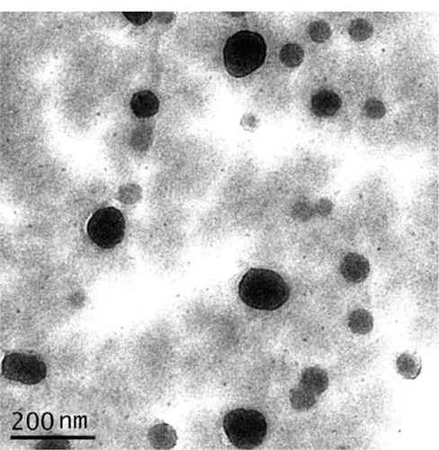 Figure 1 Typical SEM images of mPEG-PLGA-PLL nanoparticles coated with Eudragit S100; bar, 200 nm.Abbreviations: mPEG-PLGA-PLL, (Methoxy-polyethylene glycol)-b-poly(D,L-lactide-co-glycolide)-b-poly(L-lysine); SEM, scanning electron microscopy.