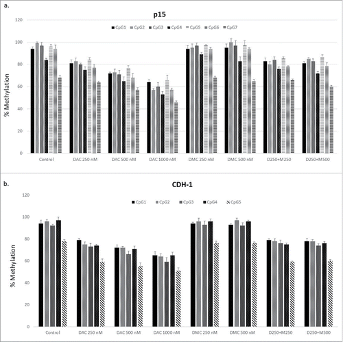 Figure 4. DMC does not enhance the hypomethylating activity of DAC. a. CEM cells treated with single drugs, and the combination for 48 h followed by DNA extraction, bisulfite treatment, and DNA pyrosequencing for 7 CpG sites within the CpG island associated with exon 1 of the p15 gene. b. CEM cells treated with single drugs and the combination for 48 h followed by DNA extraction, bisulfite treatment, and DNA pyrosequencing for 5 CpG sites within the CpG island associated with exon 1 of the CDH-1 gene. Data represent the mean ± SD for duplicates. ‘D’ represents DAC, ‘M’ represents DMC, and D250 + M250 indicates the combination of DAC (250 nM) and DMC (250 nM).