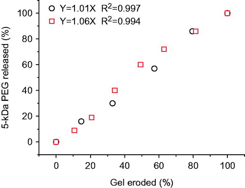 Figure 4. Correlation between cumulative % gel degradation and cumulative % 5-kDa PEG released from 20% P407/10% P188 gel (○) and 24% P407/10% P188 gel (□).