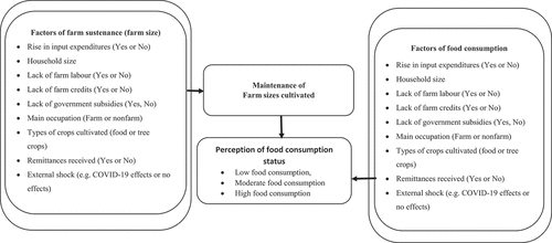 Figure 1. Conceptual framework of factors determining farm size sustenance and food consumption status of farm households.