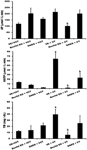 Figure 1. Plasma cholestasis markers: enzyme activities of alkaline phosphatase (AP) and γ-glutamyl transpeptidase (GGTP); total bilirubin determined in the plasma from control rats treated with their respective vehicles (VE + VTC), with Bocfal EO (Bocfal EO + VCT) or with DADS (DADS + VCT) as well as those administered the hepatotoxicant CT (VE + CT) but treated with the same compound, respectively (Bocfal EO + CT and DADS + CT). Each bar represents the mean value of experiments performed in duplicate with samples from at least four animals ± SEM. (a) Difference from the VE + VCT group and (b) from the VE + CT group, p < 0.05, Student–Newman–Keuls test.
