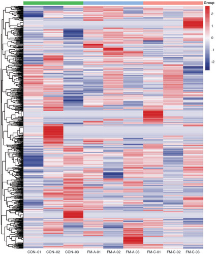Figure 1. Expression profiles of tsRNAs sequencing data in nine samples. Hierarchical clustering heatmap analysis of tsRNAs expression data of nine samples. Each row represents one tsRNA and each column represents one sample.CON: Control; FM: Fulminant myocarditis.