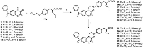 Scheme 3. Synthesis of PPAR agonists 31–38. Reagents and conditions: (a) K2CO3, DMF, 120 °C; (b) LiOH, THF/H2O, r.t.