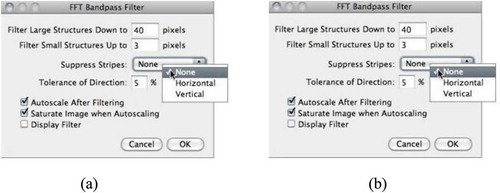 FIGURE 4 Effects of spatial-frequency filtering: (a) original image (b) filtered image.