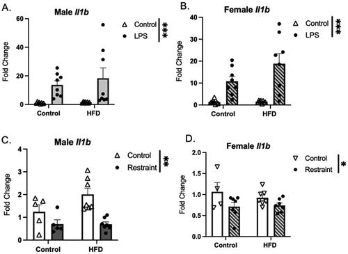 Figure 6. Gene expression of IL1β in response to stressor exposure. (A) Male and (B) female mice exposed to LPS show an increased expression Il1b. (C) Male and (D) female mice exposed to restraint stress show a significant decrease in Il1b expression. HFD did not affect the Il1b response to stress (HFD: high fat diet; LPS: lipopolysaccharide) (Graph legend = Control HFD * main effect of diet; *p < 0.05, **p < 0.01, ***p < 0.001).
