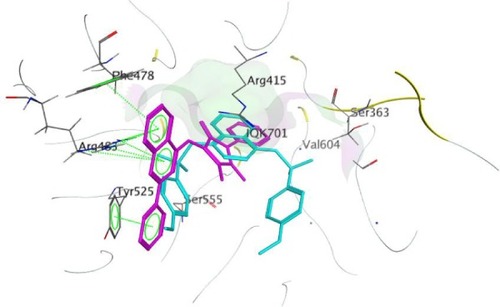 Figure 5 Overlap of compound 9 (magenta) over native ligand (cyan) with the Kelch domain of Keap1.