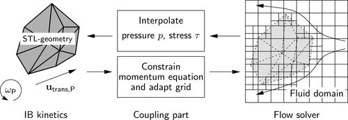 Figure 4. Bidirectional coupling between IB and fluid domain in ABSFoam.