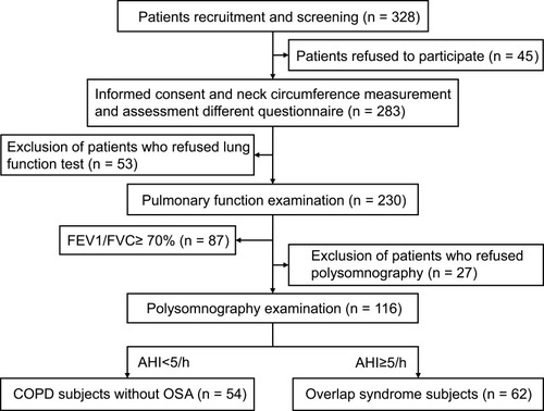 Figure 1 Flow diagram for participants in this study.