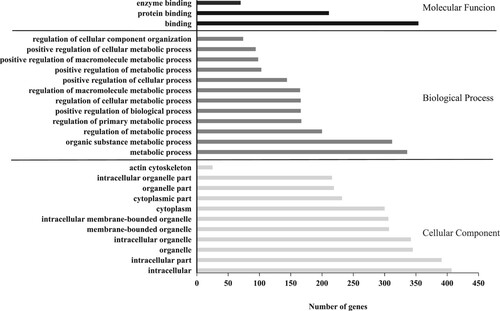 Figure 4. The results of the GO enrichment analysis