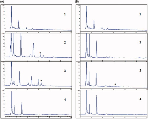 Figure 5. HPLC chromatograms of 5 min blood serum (A) and 30 min blood serum (B): (1) normal, (2) magnoflorine, (3) magnoflorine-phospholipid complex, (4) phospholipid. *Magnoflorine chromatographic peak.