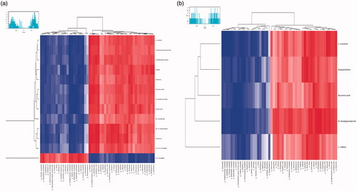 Figure 5. Heat map of correlation between different intestinal flora and different fecal metabolites in NC and A groups. Heat maps were used to represent the relationship between different flora and fecal metabolites in the NC and A groups, with r > 0.5. (a) The correlation between negative ion metabolites; (b) The correlation between positive ion metabolites. Red indicates a positive correlation and blue indicates a negative correlation. The darker the color the stronger the correlation.