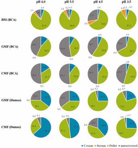 Figure 3. Percentages of protein in the cream, serum, and pellet fraction after centrifugation of the digesta from gastric digestion simulating infant conditions.