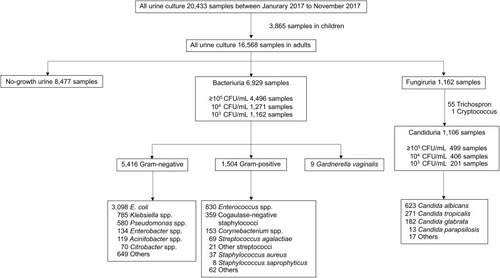 Figure 1 Distribution of microorganisms in urine culture.