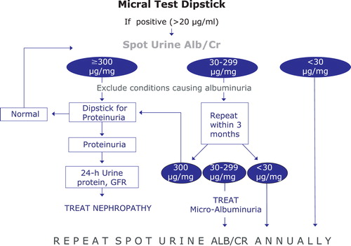 Figure 3 Algorithm of urine spot testing for microalbuminuria to be followed in every patient with chronic kidney disease or elevated cardiovascular risk of apparently other origin. Alb/Cr, albumin/creatinine ratio; GFR glomerular filtration rate.