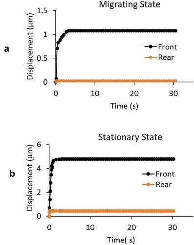 Figure 6. A) Simultaneous recording of the front and posterior-end displacements of a GBM cell in actively migrating state show near-zero displacement at the posterior-end, indicating the recorded front-end displacement are due to the cell deformation in response to the negative pressure load (at – 20 cmH2O), excluding any likely sliding movement of the cell in the channel. B) Cells from stationary group showed both front and posterior-end displacement. The corresponding intracellular fluid movement from the rear to the front compartments of the cell is discussed in the text