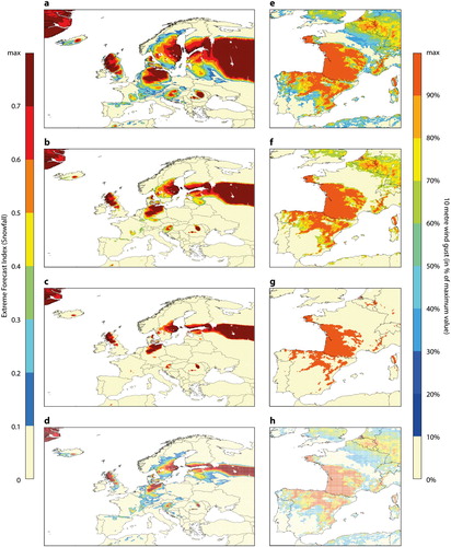 Figure 2. (a–d) Extreme Forecast Index (Snowfall) for Snowstorm in Sweden/Russia in September 2016, event S1; lead time displayed: 0–24 hrs.; (a) EFI minimum at 0.1; (b) EFI minimum at 0.3; (c) EFI minimum at 0.5 (e–h); (e–h) wind gust at 10 m for an extreme windstorm event in France in March 2016 (event W2). Values are expressed in % of maximum wind gust. Lead time displayed: 3 days; (a) minimum at 20%; (b) minimum at 50%; (c) minimum at 80%; (d, h) are the undistorted maps.