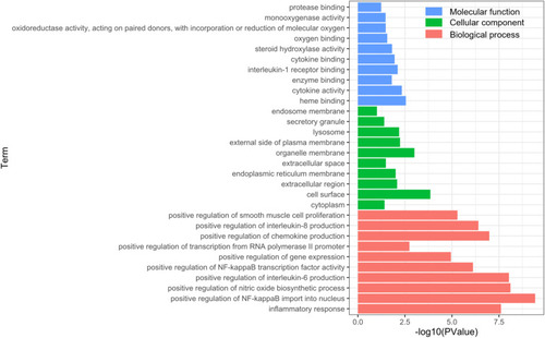 Figure 5 Gene ontology analysis of key target genes.