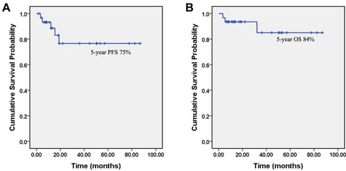 Figure 2 Progression-free survival (PFS) and overall survival (OS) of primary gastric diffuse large B-cell lymphoma (PG-DLBCL) patients in our study. Kaplan–Meier curves show the PFS (A) and OS (B) of the PG-DLBCL patients in our study.
