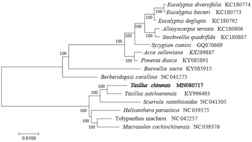 Figure 1. The neighbour-joining (NJ) tree based on the 16 chloroplast genomes. The bootstrap value based on 1000 replicates is shown on each node.