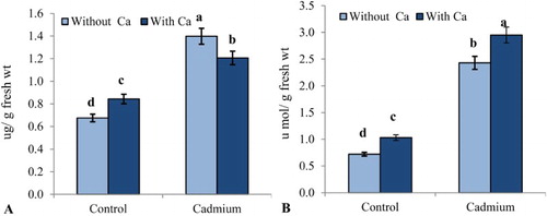Figure 2. Effect of cadmium stress (0.1 mM CdCl2) on (A) TSS (µg g−1 fresh wt) and (B) proline (µmol g−1 fresh wt) in leaves of S. indicum with and without added calcium (50 mM CaCl2). Data presented are the means ± SE (n = 5).