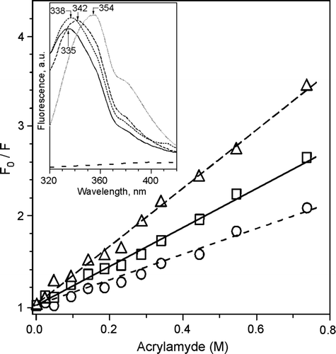 Figure 4.  Tryptophan fluorescence. Stern-Volmer plots of tryptophan fluorescence quenching with acrylamide of DEPE:P4 (2.2 M−1) (--Δ--), DEPE:P6 (1.4 M−1) (––□––) and DEPE:P7 (3.2 M−1) (– –○– –) at 25°C. The excitation wavelength was at 290 nm and emission wavelength at 340 nm. Insert: Trp fluorescence emission spectra of Trp alone, lipidic pellets DEPE:P4 (----), DEPE:P6 (––––) and DEPE:P7 (– –) and the supernatants depleted of vesicles (doted line) recorded with an excitation wavelength of 280 nm. The lipid-peptide molar ratio was 20:1.