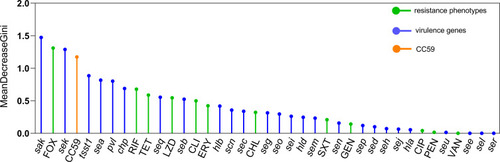 Figure 4 Importance rank of phenotypic and molecular characteristics influencing invasive S. aureus isolates.