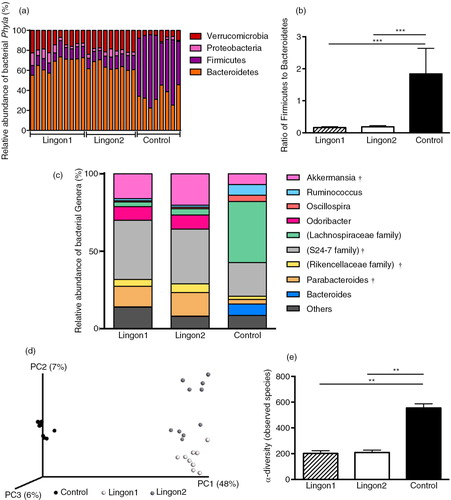 Fig. 4 Lingonberry intake promotes modification of gut microbiota composition in high-fat fed mice. Cecal gut microbiota was analyzed using 16S rRNA sequencing in mice fed high-fat diets for 11 weeks. Two experimental groups were fed high-fat diet supplemented with two different batches of lingonberries (Lingon1 and Lingon2) and were compared to a group receiving high-fat diet without berries (Control). (a) Bars represent the relative abundance (%) of bacterial phyla and the Firmicutes/Bacteroidetes ratio is displayed in (b). (c) The relative abundance of bacterial genera (%) that were significantly modified by lingonberry supplementation (p<0.0001) and had a relative abundance above 4% in one or more of the groups. † denotes genera significantly different between the Lingon1 and Lingon2 groups (p<0.05) and each color represents a separate genera. In cases where the genus was unclassified, the family name is written in parenthesis. (d) Unweighted PCA plot showing the degree of bacterial taxonomic similarity between samples at the genus level; the larger the distance between samples, the more different they are with respect to the axes (PC1, PC2 and PC3). Lingon1: white circles; Lingon2: grey circles; Control: black circles. (f) The alpha-diversity was decreased in groups receiving lingonberries compared to the control group (non-parametric t-test and Bonferroni correction). n=8–10, mean±SD, **p<0.01, ***p<0.0001.