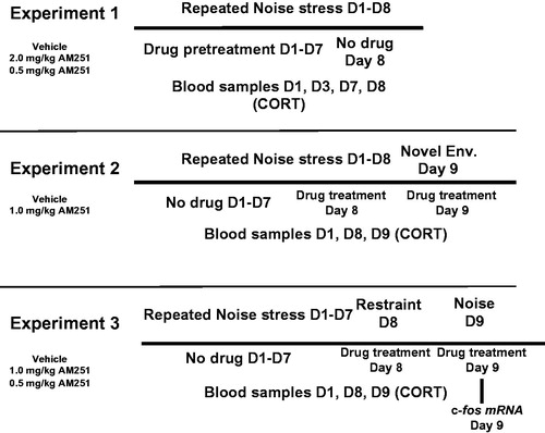 Figure 1. Experimental design summaries for Experiments 1-3. CORT: plasma corticosterone measured in blood sample taken via tail nick except for D9 blood sample taken via trunk blood; D: Testing day; Env, (Novel) Environment testing.