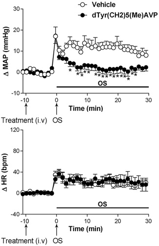 Figure 6. Time course curves of mean arterial pressure (ΔMAP) and heart rate (ΔHR) responses observed after acute OS i.p. injection (0.6 M NaCl) in animals pretreated with either vehicle (1 mL/kg i.v. n = 6) or dTyr(CH2)5(Me)AVP (50 μg/kg, i.v. n = 6). Drugs were injected at the time -10 min. The onset of OS was at time 0 min. (*) indicates significantly different from control, Two-way ANOVA, P < 0.05.