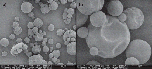 Figure 4. SEM images of orange juice powdered particles at different magnifications at a) 30 µm and b) 5 µm.Figura 4. Imágenes de MEB de partículas de jugo de naranja en polvo a diferentes ampliaciones a) 30 µm y b) 5 µm