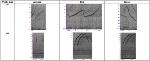 Figure 2. Examples of non-signature whistles found in the studied populations. Y-axis units kHz; X-axis units s.