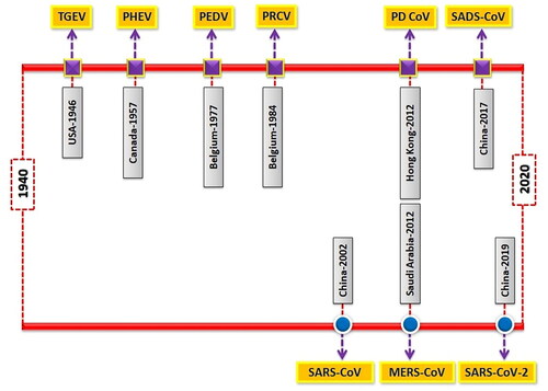 Figure 2. The chronological time-line of events presenting major coronaviruses outbreaks in swine (upper bar) and humans (lower bar).