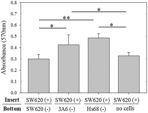 Figure 1. The doxorubicin-treated SW620 cells were cocultured with healthy cells by transwell assay. SW620 cells treated with doxorubicin (SW620 (+) were cultured in the top chambers of the transwell for 3 d and then cocultured with other healthy cells (–) cultured in the bottom chambers of the transwell for another 3 d. Then, the SW620 (+) cells in the top chambers were examined by MTT. ** p < .01, * p < .05, n = 4.