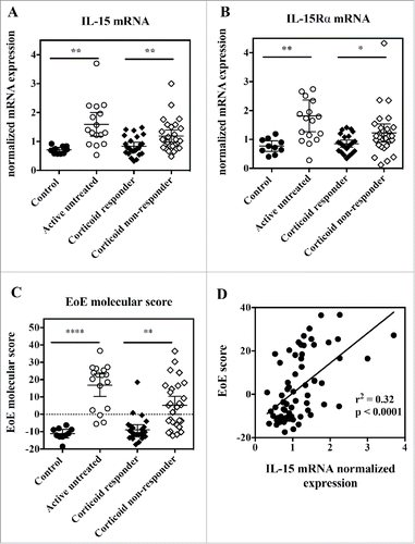 Figure 5. Esophageal biopsies from active EoE patients show increased IL-15 and IL-15Rα gene expression, and IL-15 expression correlates with EoE molecular score. RNA was extracted from esophageal biopsies, and subjected to quantitative RT-PCR gene expression analysis. (A) IL-15 mRNA expression, (B) IL-15Rα mRNA expression and (C) EoE molecular score from control healthy subjects (closed circles), active EoE non-treated patients (open circles), inactive EoE corticoid-responder patients (closed diamonds), and active EoE corticoid non-responder patients (open diamonds). Each symbol represents a single biopsy and mean ± 95% CI is indicated for each group. Statistical analysis: Student's t test. *p < 0.05; **p < 0.01; ***p < 0.001, ****p < 0.0001. (D) Correlation between EoE molecular score and IL-15 mRNA expression for all subjects. Each symbol represents a single biopsy.
